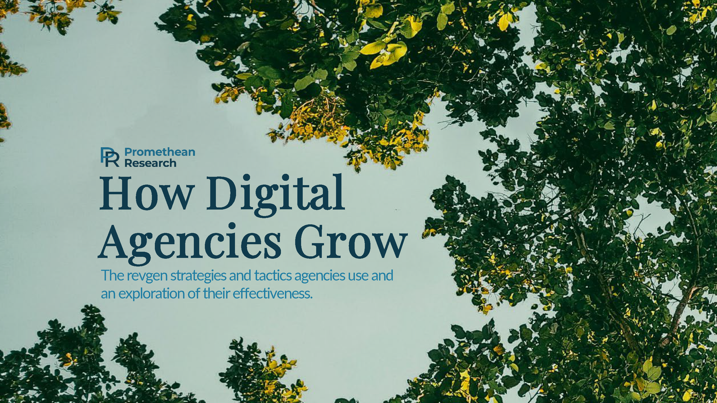 How Digital Agencies Grow